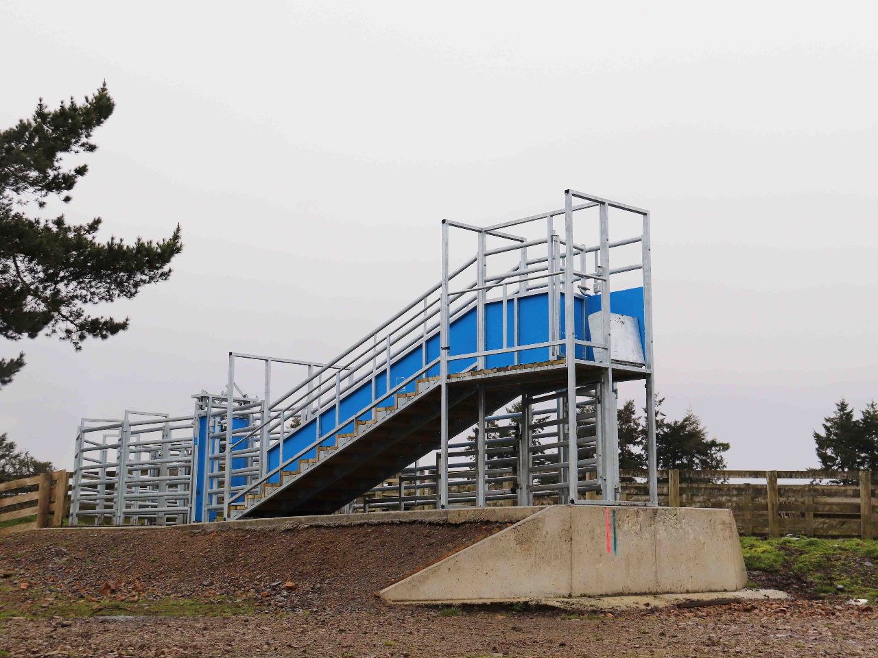 2 Ramp System The Dual Height Loading Ramp System - Te Pari | Mall Planet
