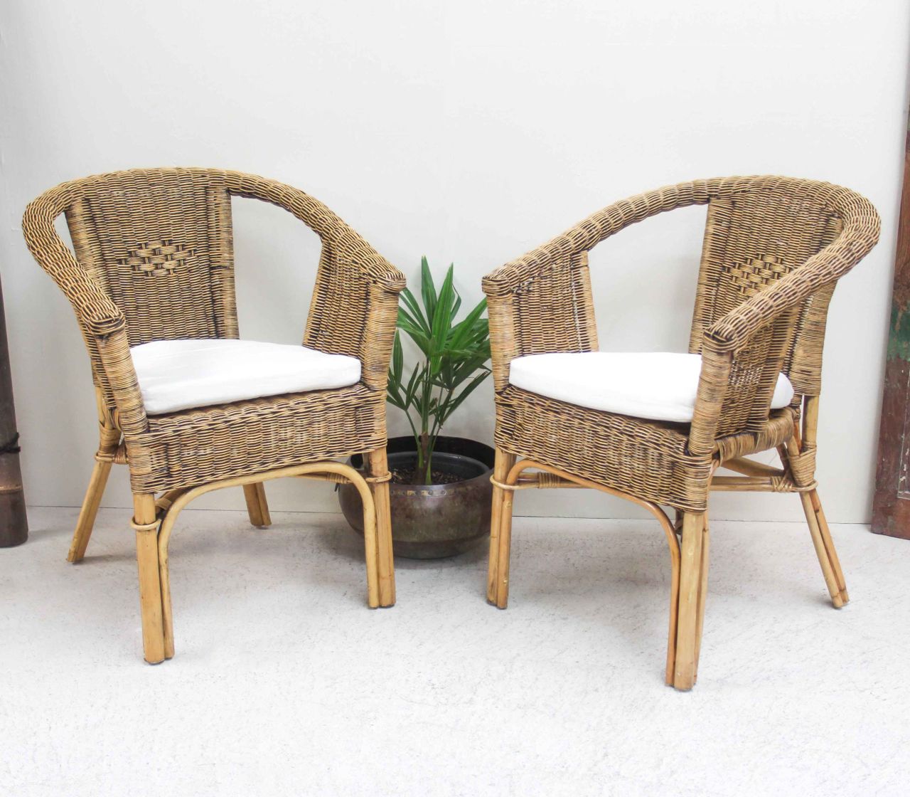 Genuine Cane Fabion Chair Barron Imports Hawke's Bay Online