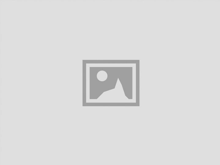 Leafscreener Installations Logo