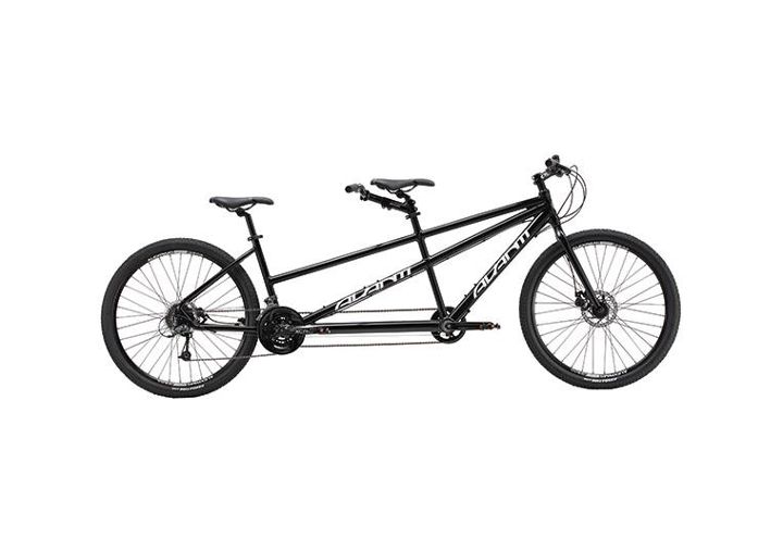 Bicycle Built for Two for Hire - Napier City Bike Hire & Tours