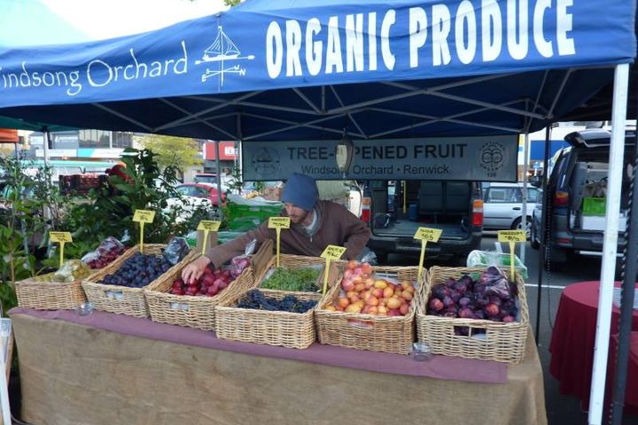 Windsong Orchard Logo